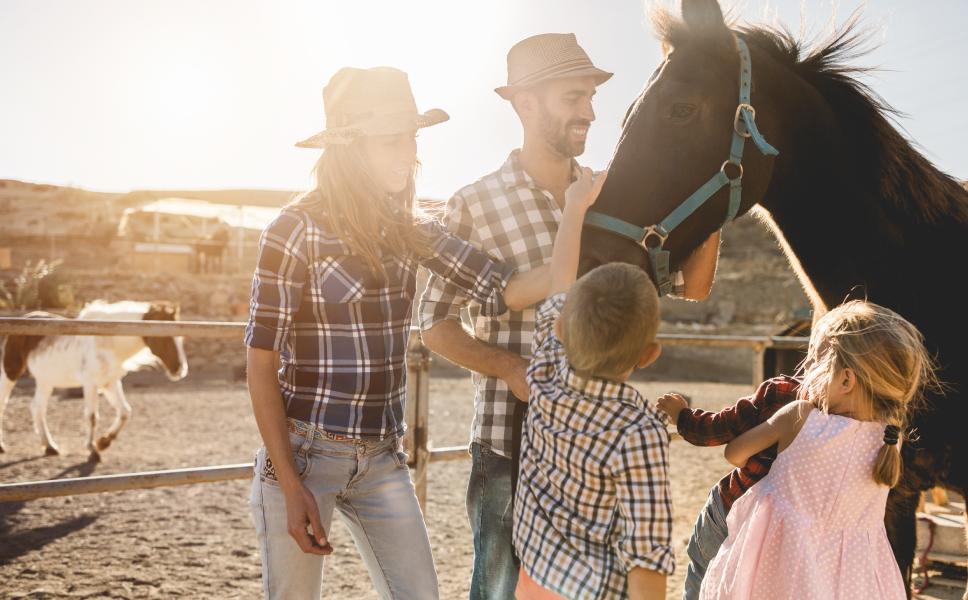 Family tending to a horse in Lyon County
